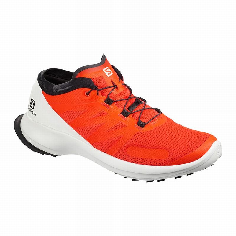 NEU 409673 Salomon Sense Flow GTX® Gr 46 UK 11 